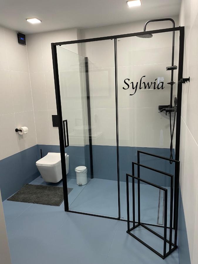 Sloneczne Apartamenty Sokolowsko Luaran gambar